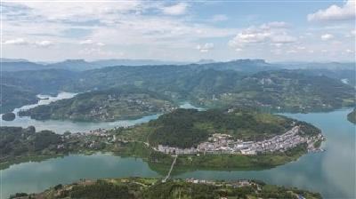 小红薯“长成”亿元大产业 ——周寨村的甜蜜蜕变记