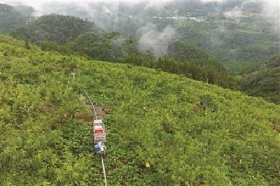 “石头山”生“金”记