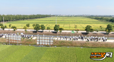 2025年水稻产业技术发展报告会暨湖北水稻新品种新技术现场考察会在荆召开