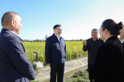 汪元程调研高标准农田建设和河湖长制林长制工作