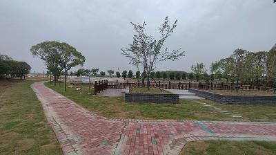 荆州市荆州区马山镇人大代表助力环境整治 共建乡村美丽家园