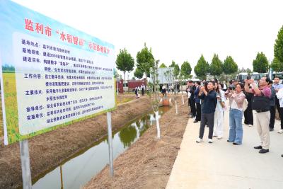 “水润荆楚·江米如珠”全国主流媒体走进江汉大米品牌核心地活动举行