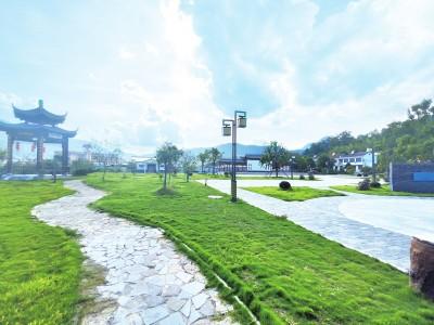 松滋：“赈”初心 “建”实效 “兴”乡村