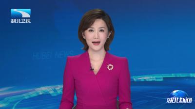 让世界看见楚文化 多国驻华大使点赞荆州