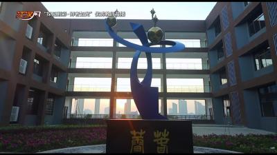 优秀教师展播丨聂华琴：“头雁”领航 静水深流