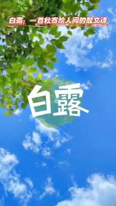白露：一首秋寄给人间的散文诗