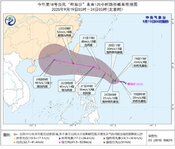 三场台风相继生成 “桦加沙”“浣熊”移动路径一览→