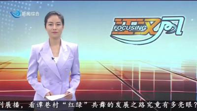 “红绿” 共舞 擘画乡村共富新图景