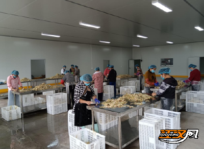 石首：建设环保污水处理系统为乡村文明加码     
