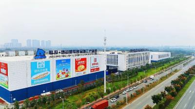 联投•增益楚菜食品加工产业园开园