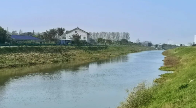 荆州高新区：昔日“堵心渠” 今朝“润”良田