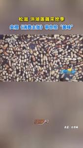 央视《消费主张》带你挖“美味”！