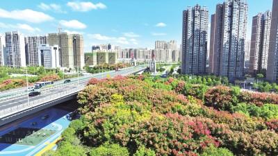 寻找荆州最美之秋 这些打卡地藏着秋日限定浪漫