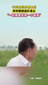 今天是世界粮食日 风吹稻田追忆袁公