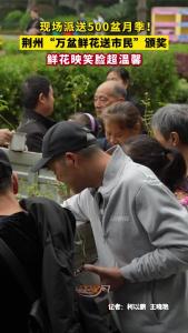 现场派送500盆月季！荆州“万盆鲜花送市民”颁奖