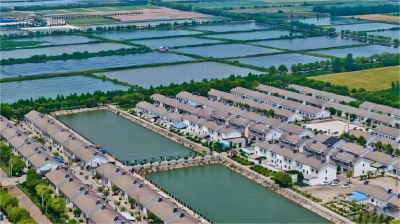 从21.6万到100万元，荆州这个移民村大变样