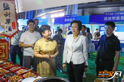 荆州市2025年返乡创业大湾区推介周：归雁展翅赢“荆”彩
