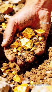 甘肃一地发现大型金矿！新增金资源量超40吨！