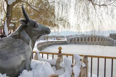 今冬会更冷吗？国家气候中心回应