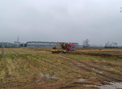 石首市久合垸乡獾皮湖村：干群冒雨转运秸秆保生产