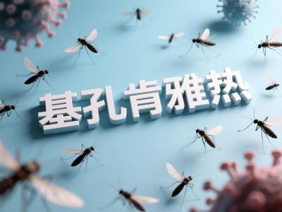 香港出现基孔肯雅热死亡病例