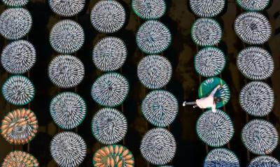 六门闸畔“渔”你相约——一江碧水托起的金色蜕变