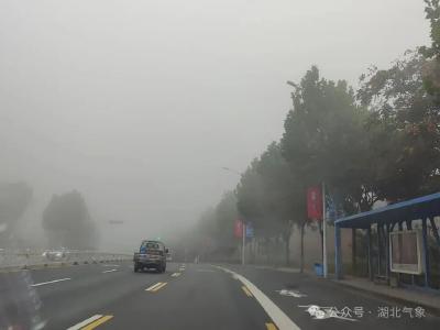 升温！湖北出现云海仙境！雨水又要来了