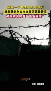 缅北一个中国人卖30多万 央视镜头揭露“血色缅北”