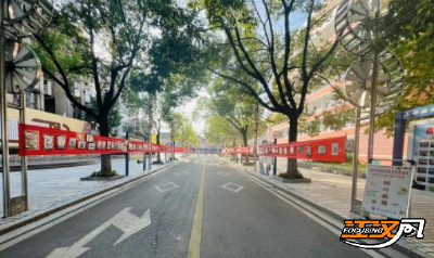 荆州实验小学教联体：科技节树叶画展探索美育与科创融合新路径