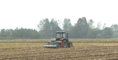 石首市高陵镇：“稻油轮作”忙 机械播种绘“丰”景