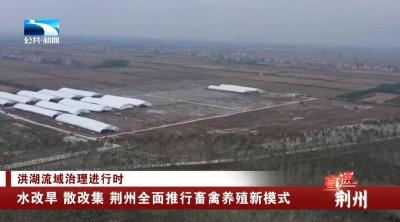 荆州全面推行！