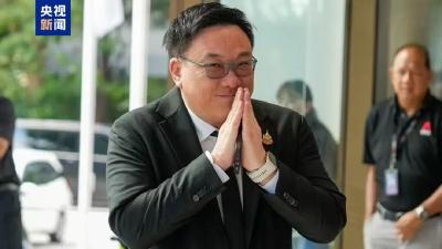 泰国为泰党选出新任党首