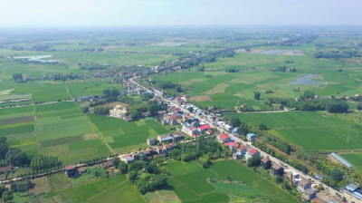 石首市晏家巷村：多元发展激活力 产业集群奔共富