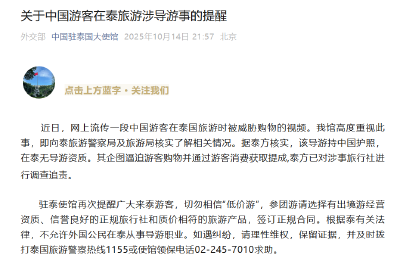 “今晚就让你回不了国！”游客在泰国遭黑导游威胁，中使馆通报