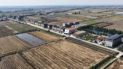 青春驻江陵 用实干书写初心答卷