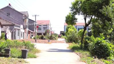 荆州江陵：清洁“动”起来，从“要我做”到“我要做”