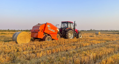 江陵县：全力抢收水稻 确保颗粒归仓