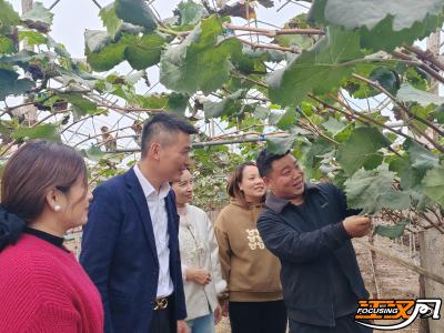 湖北宝妮娜文旅发展有限公司董事长周宝：返乡企业家的乡村“乐园梦”