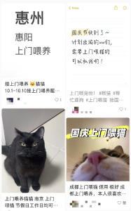 突然爆火：男子连接270单，其中一单赚了8100元