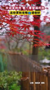 欢迎来荆州 看一看楚国的秋