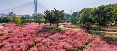 【媒眼看荆州】10月10日—10月14日 央省媒体聚焦荆州文旅