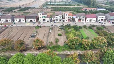 荆州江陵县：青春融乡土 田间淬担当