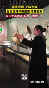 当全国媒体被麋鹿、江豚圈粉 长江生态顶流实力“抢镜”！