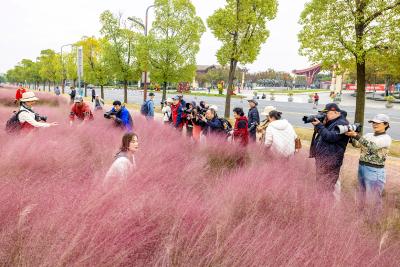 寻迹纪南，邂逅秋日光影！荆州市摄协专题采风活动定格文旅融合之美 