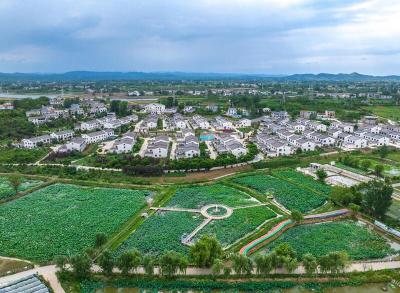 风荷桃源秀姚庵