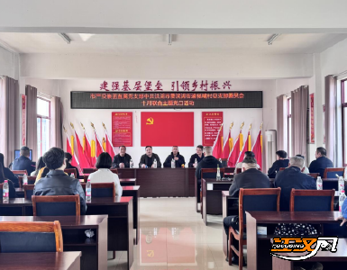 荆州产投集团直属党支部与杨嘴村党总支联合开展10月份主题党日活动