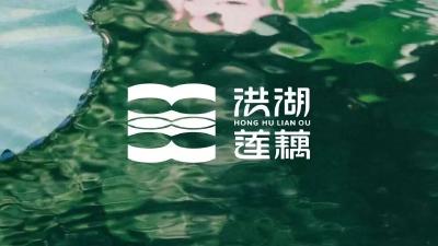 “藕”遇洪湖，誉满天下！