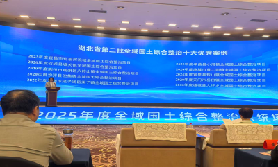 荆州区八岭山镇全域国土综合整治项目获评湖北省优秀案例