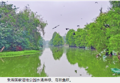 “湿”意栖居 生态惠民