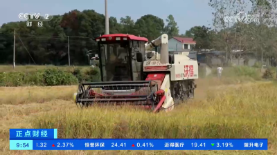 全国秋粮收获近四成 各粮食主产区陆续进入收获高峰期